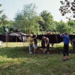 012_schweden_in_botnang
