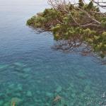 155_sommerfahrt_2006_korsika