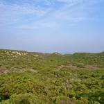 173_sommerfahrt_2006_korsika