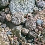 240_sommerfahrt_2006_korsika